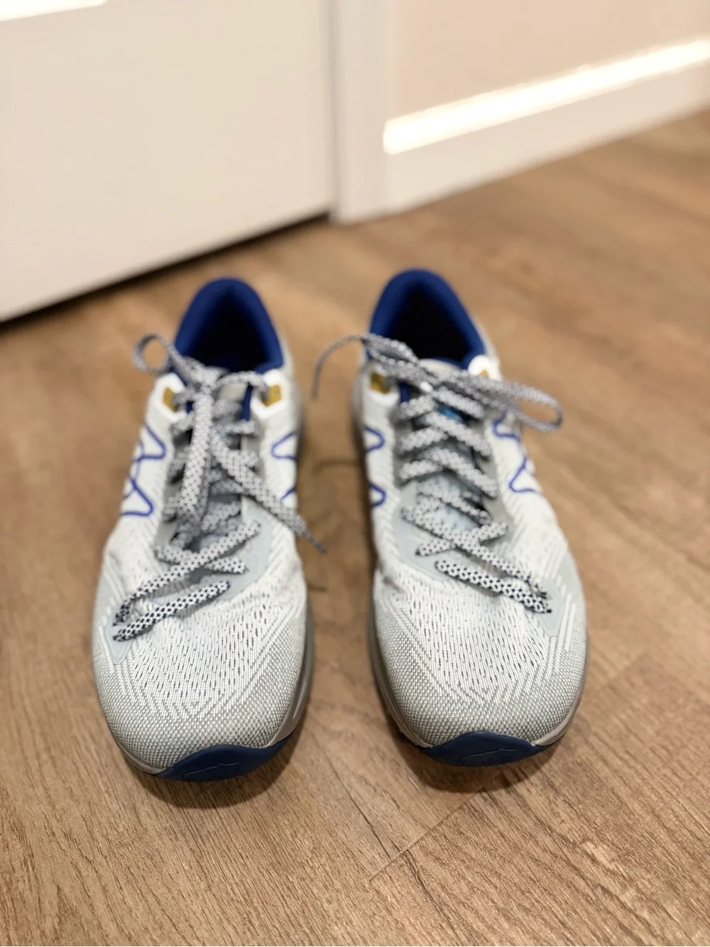Men’s Karhu Synchron 2.0 Shoes